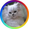 Gatitos⁂2 Movi 30