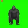 Monkeys Dancing .mov 26