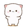 MOCHIS CAT Extra"Q" MOV 24