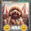 Hola!Perrito Lindo 1 Movi 30