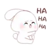 Happy Rabbit  .MOV 5