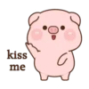 Rourou pig MOV 9