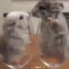 Mascotitas Frikis 10