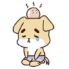 Rabbit   and 6