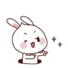 Rabbit   and 9