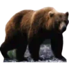 Animales de la selva 7