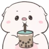 Baby pig cerdito 17