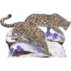 Animales de la selva 12