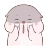 Baby pig cerdito 19