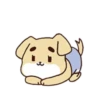 Rabbit   and 13
