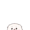 Baby pig cerdito 20