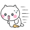 A chicken loving cat 10