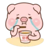 Rourou pig MOV 14