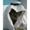 арабская кошка 9