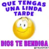 Buenas   1 movi 13