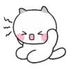 A chicken loving cat 11