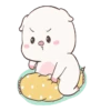 Baby pig cerdito 22