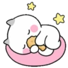 A chicken loving cat 14