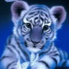Tigre Toño  1 Movi 9