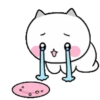 A chicken loving cat 15