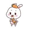 Rabbit   and 16