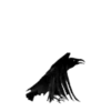 Animales de la selva 16