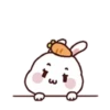 Rabbit   and 18