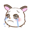 cute  rabbit mov 16