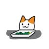 ‍Indy cat & friend‍ Mov 21