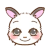 cute  rabbit mov 18