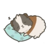 Dormindo 1 18