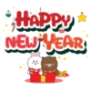 Brown New Year  .MOV 17