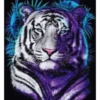 Tigre Toño  1 Movi 19