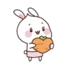 Rabbit   and 23
