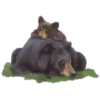 Animales de la selva 23