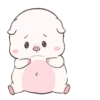 Baby pig cerdito 27