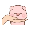 Rourou pig MOV 20