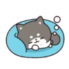 SLEEPING #2 mͫoⷪvͮ 25