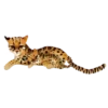 Animales de la selva 26