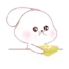 Happy Rabbit  .MOV 21