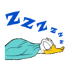 Dormindo 1 24