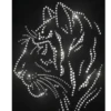Tigre Toño  1 Movi 24