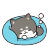 SLEEPING mͫoⷪvͮ. 25