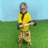 Changuitos Mov 28