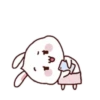 Rabbit   and 27