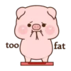 Rourou pig MOV 24