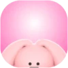 Pink Bunny 1 Movi 29