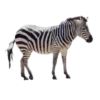 Animales de la selva 30