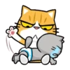 Gaticos Cute Mov 29