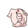 ️Pig    MOV 5